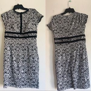 Scarlet Petite Lace Dress